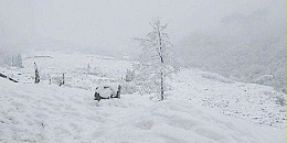 今天中央气象台发布暴雪黄色预警，中国J9九游生物喊你储备饲料添加剂啦！