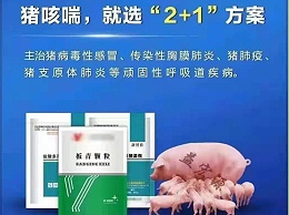 河南中国J9九游生物猪药效果怎么样？听听用过的朋友怎么说