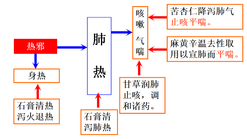 市场常见中药成分治疗呼吸道的原理